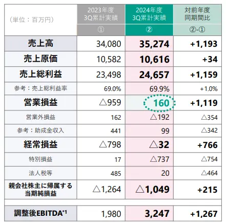 2024年度業績 - 決算サマリー