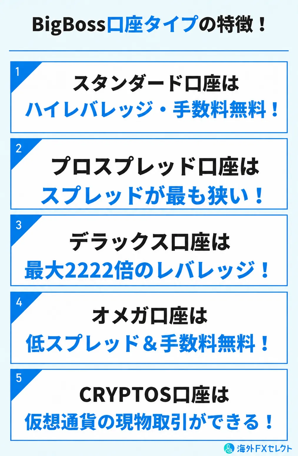 bigbossの口座タイプの特徴