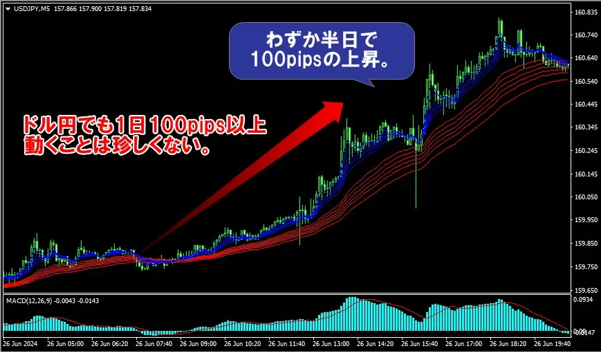 FX相場では1日100pips以上動くことも珍しくない